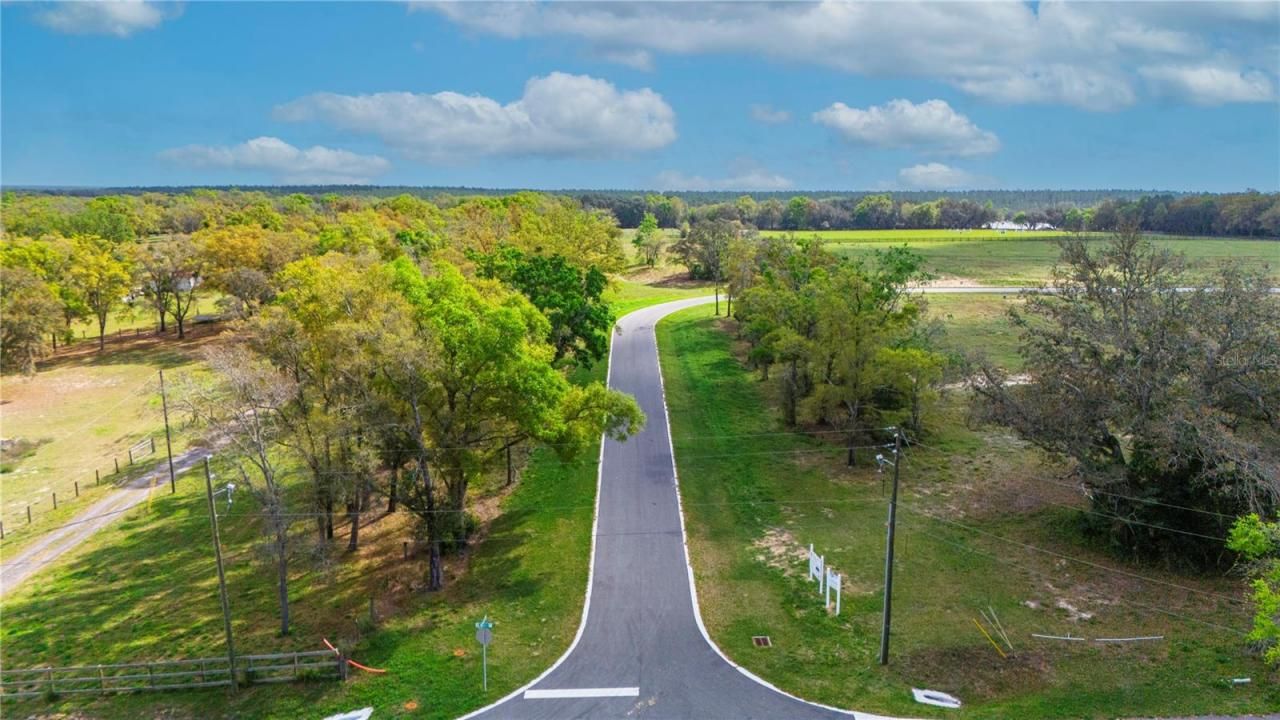 5560 Panoramic View Drive, Apopka, FL 32712 Photo