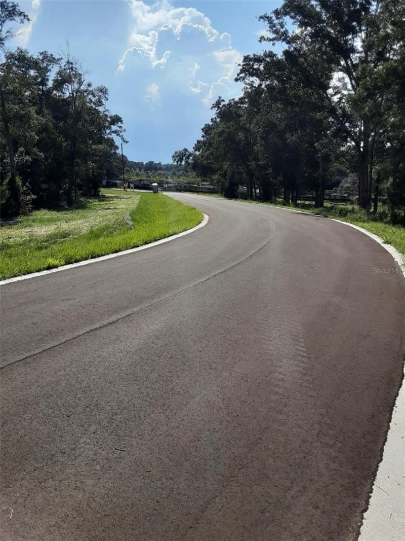 5560 Panoramic View Drive, Apopka, FL 32712 Photo