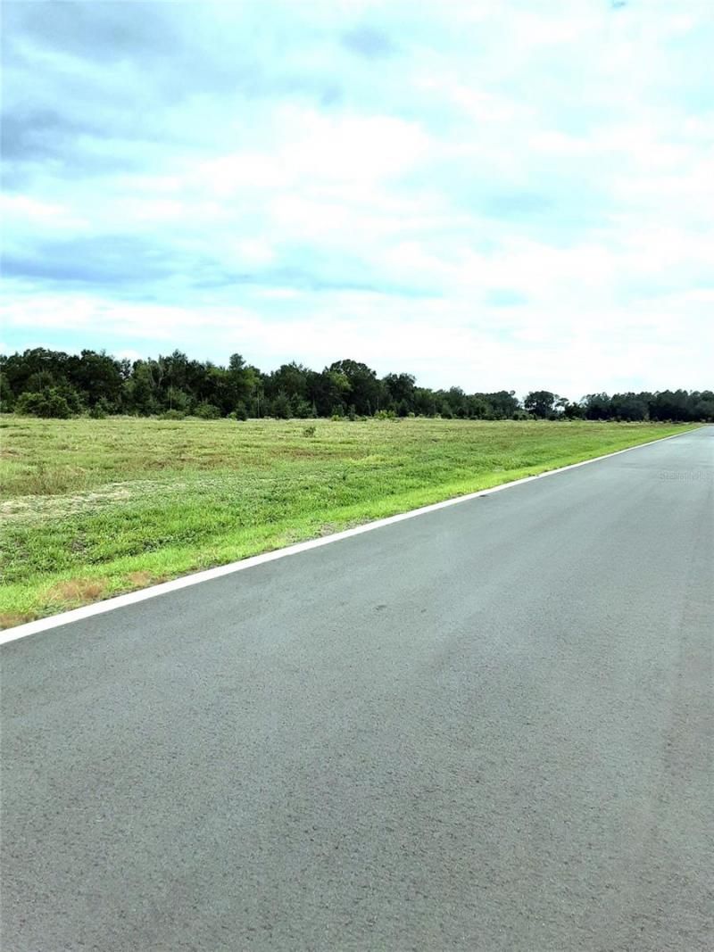 5566 Panoramic View Drive, Apopka, FL 32712 Photo