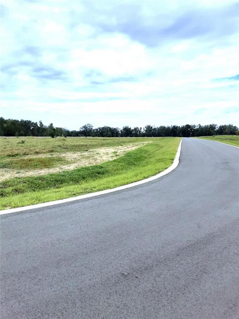 5566 Panoramic View Drive, Apopka, FL 32712 Photo