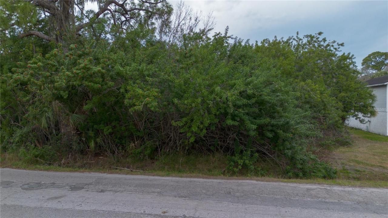 6317 Oelsner Street, New Port Richey, FL 34652 Photo