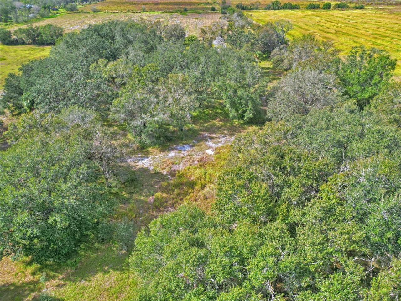 Conroy Lane, Wauchula, FL 33873 Photo