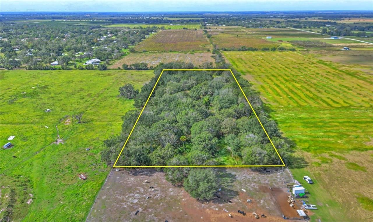 Conroy Lane, Wauchula, FL 33873 Photo