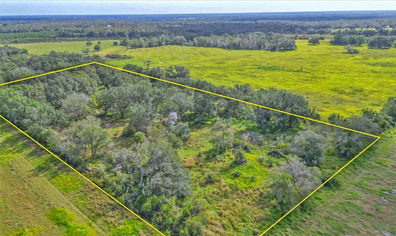 Conroy Lane, Wauchula, FL 33873 Photo