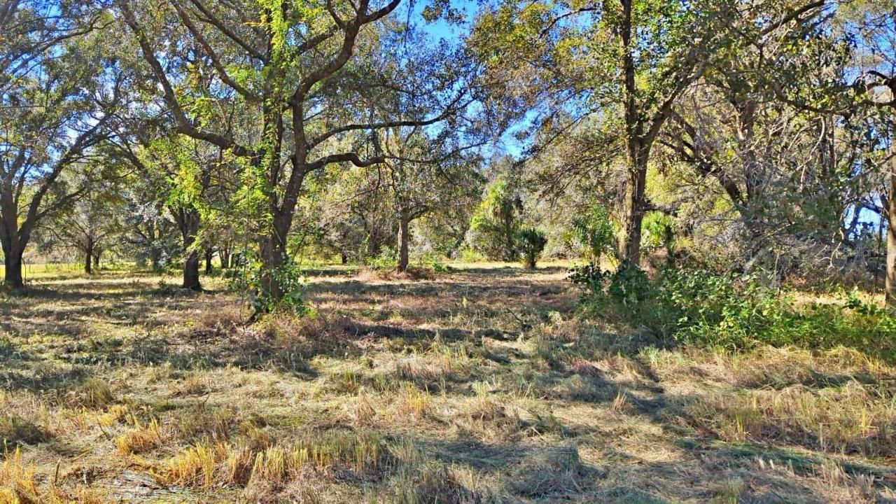 Conroy Lane, Wauchula, FL 33873 Photo