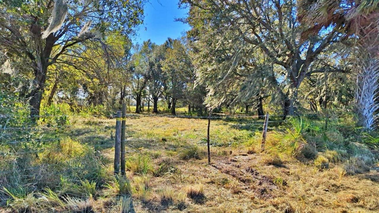 Conroy Lane, Wauchula, FL 33873 Photo