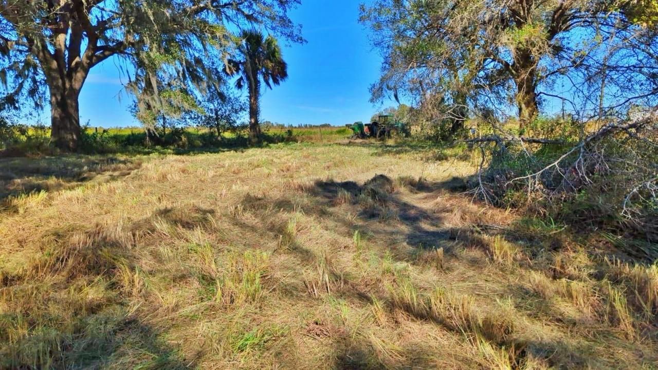 Conroy Lane, Wauchula, FL 33873 Photo