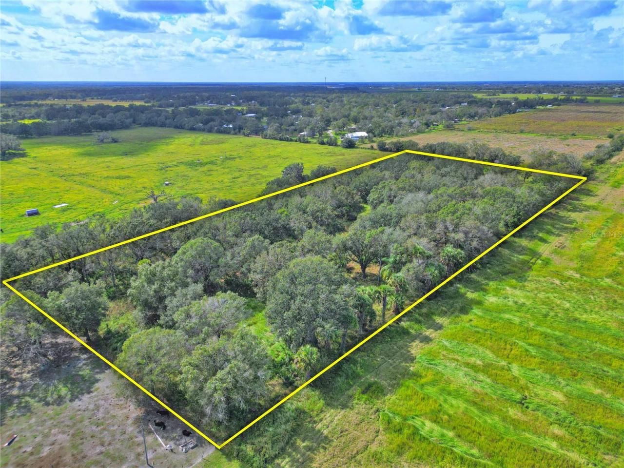 Conroy Lane, Wauchula, FL 33873 Photo