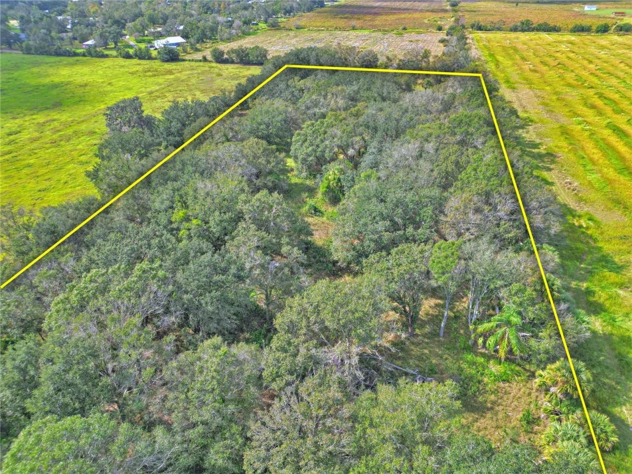 Conroy Lane, Wauchula, FL 33873 Photo