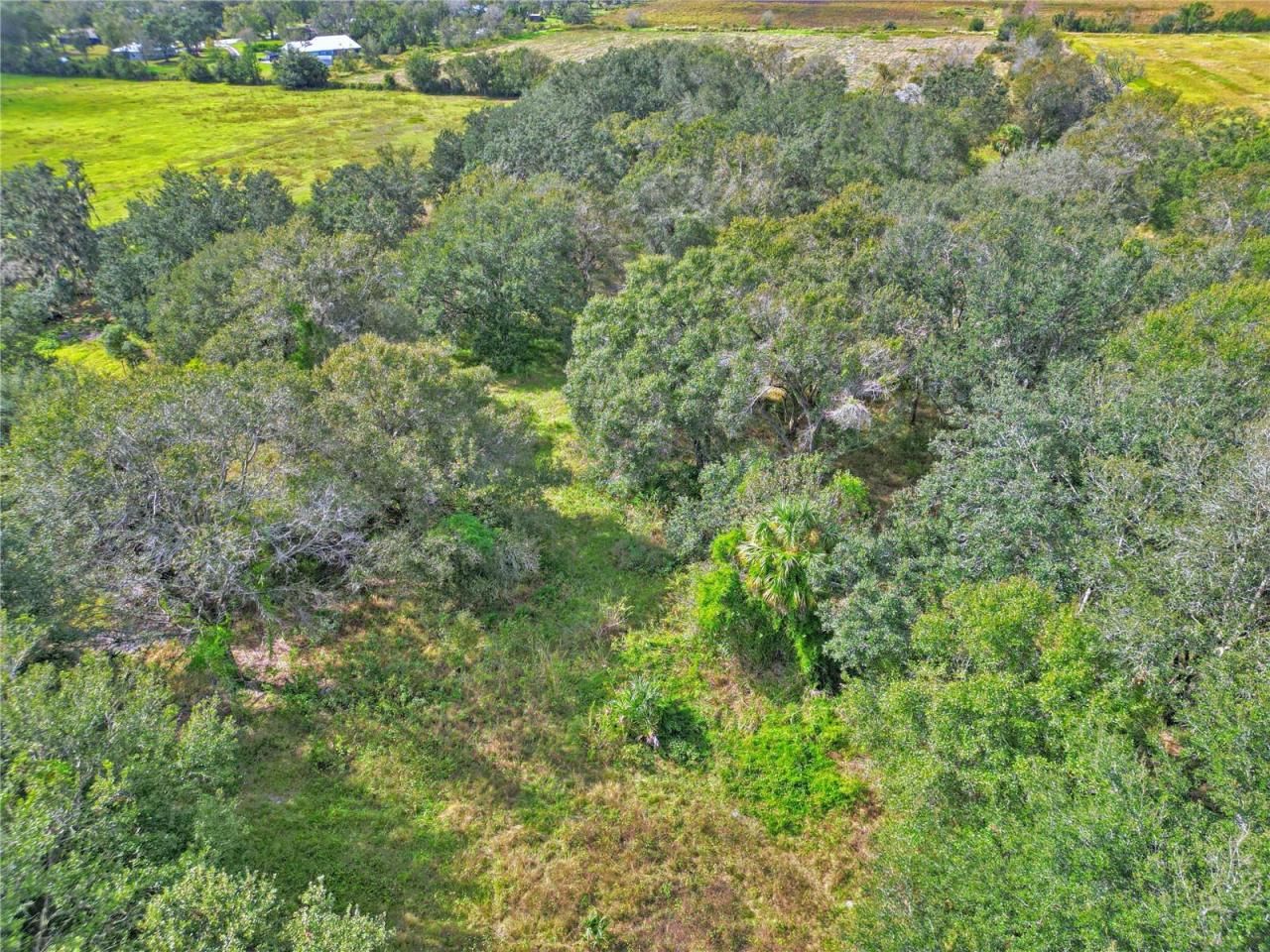 Conroy Lane, Wauchula, FL 33873 Photo