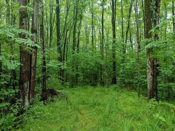 4.70 Acres US HIGHWAY 8, Prentice, WI 54556