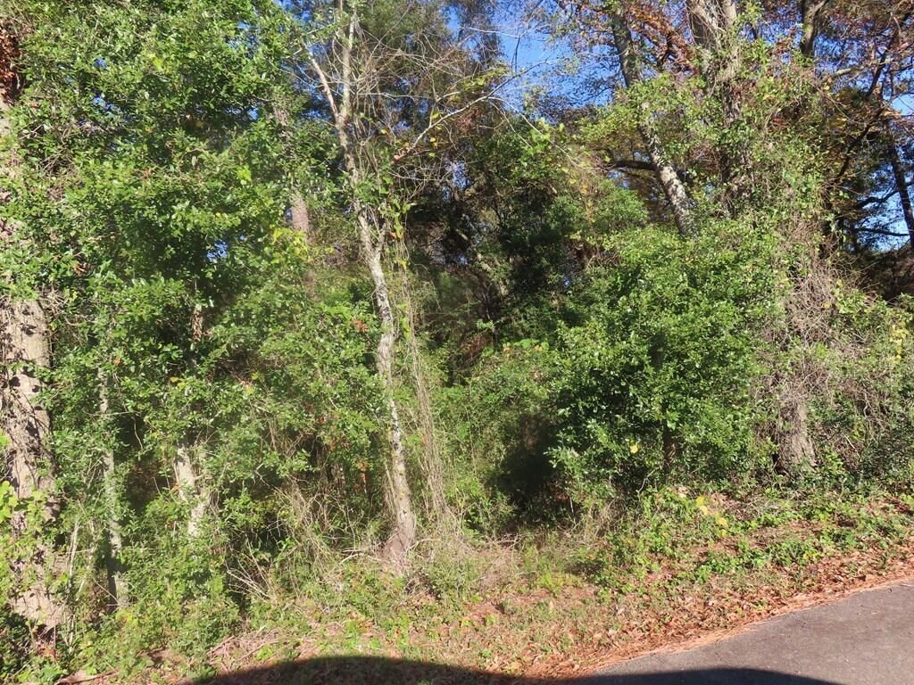 Lot 3 Graveyard Rock Road Photo 2