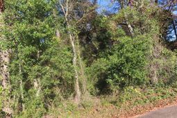 Lot 3 Graveyard Rock Road photo 4