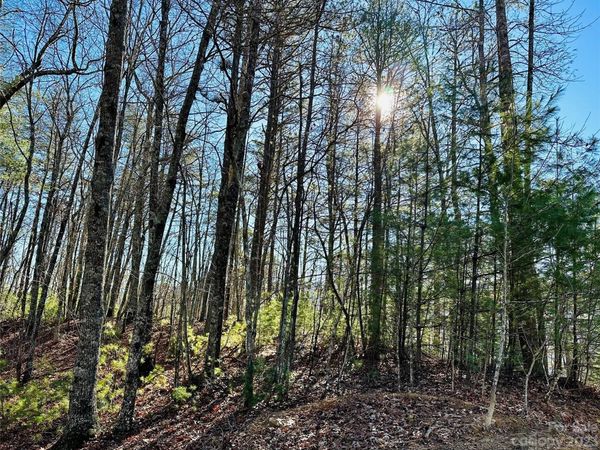 71 Turkey Trot Trail, Marshall, NC 28753