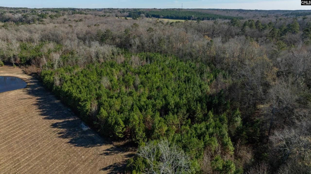 0 Cedar Grove Road Photo 10