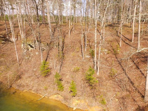 LOT 9 COUNTY ROAD 3914, Arley, AL 35540