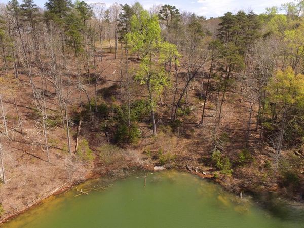 LOT 25 PELICAN DR, Arley, AL 35540
