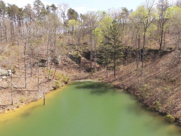 LOT 41 OSPREY AVE, Arley, AL 35540