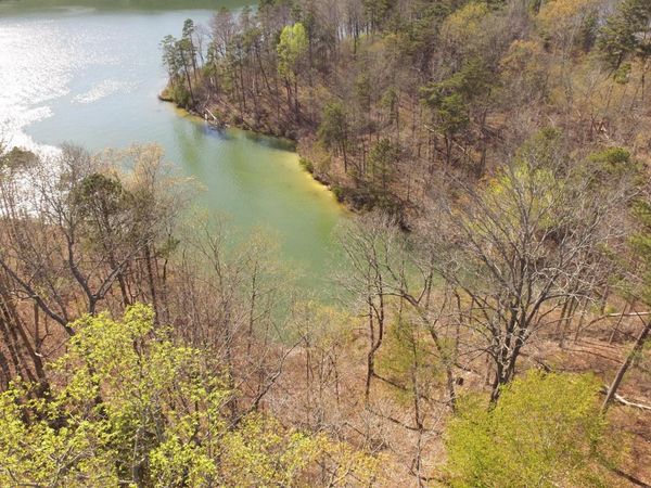 LOT 51 OSPREY AVE, Arley, AL 35540