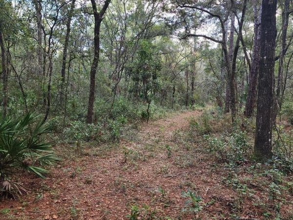 9897 NW 56TH Place, Chiefland, FL 32626