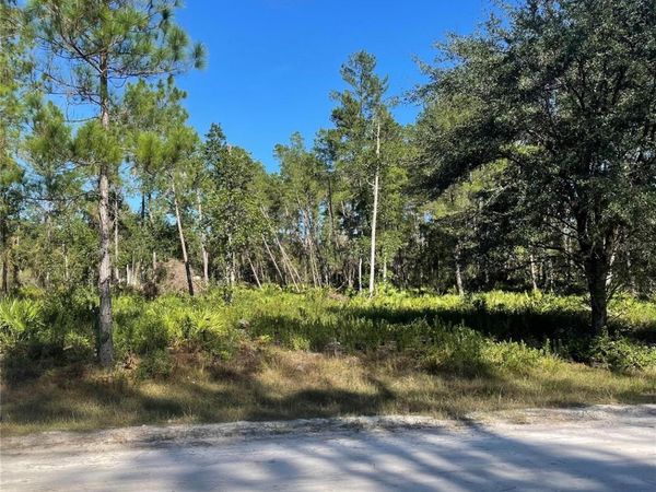 224 PLUMOSA DRIVE, GEORGETOWN, FL 32139