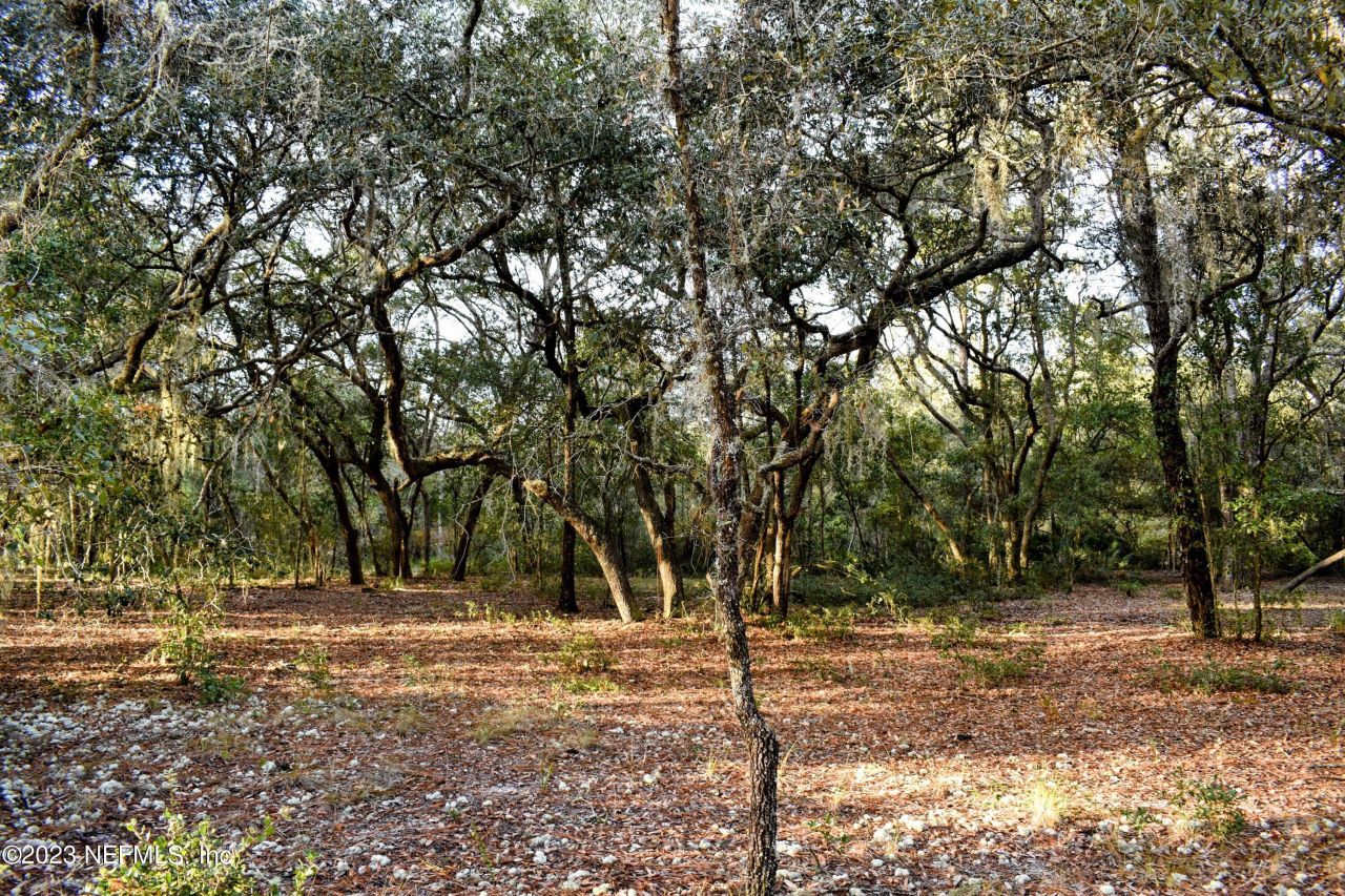 249 Simpson Drive, Interlachen, FL 32148 Photo