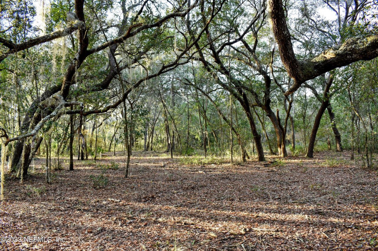 249 Simpson Drive, Interlachen, FL 32148 Photo