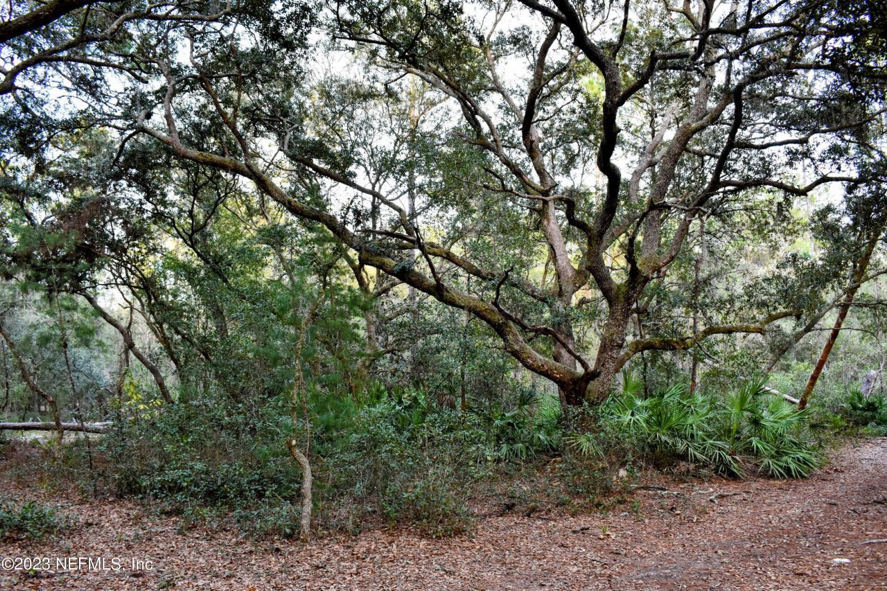 249 Simpson Drive, Interlachen, FL 32148 Photo