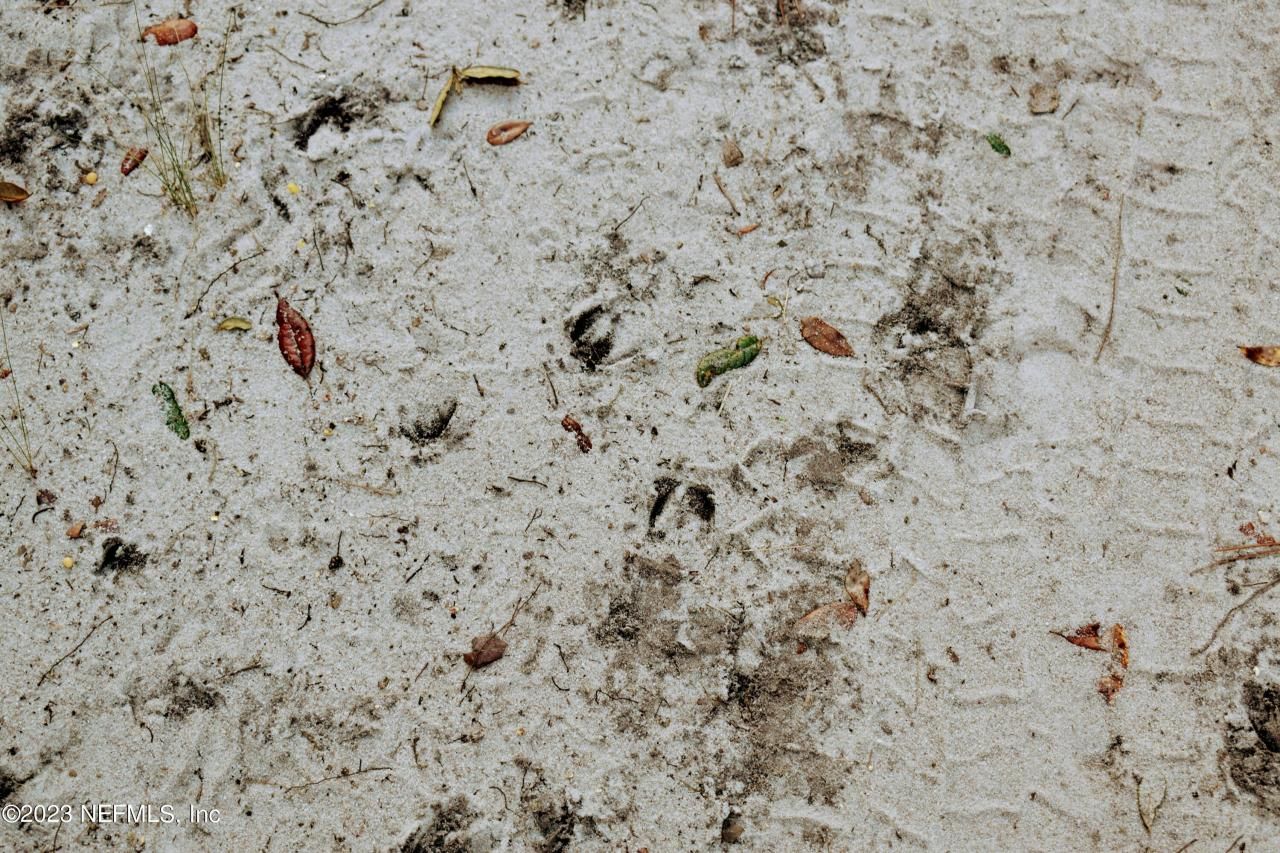 249 Simpson Drive, Interlachen, FL 32148 Photo