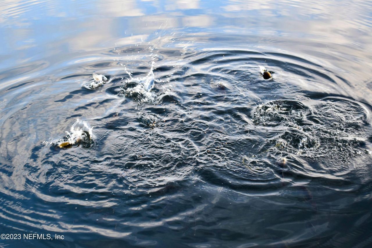 249 Simpson Drive, Interlachen, FL 32148 Photo