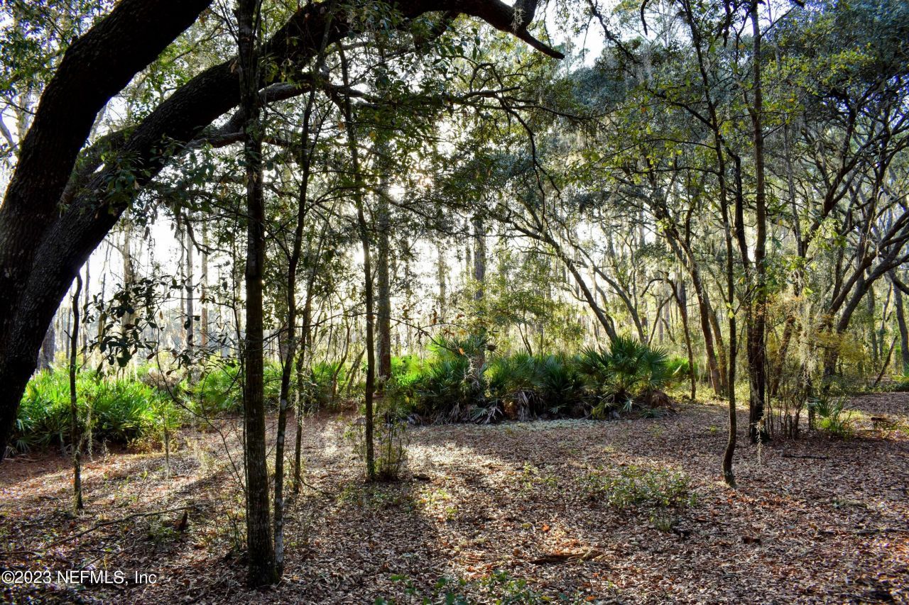 0 Simpson Drive, Interlachen, FL 32148 Photo