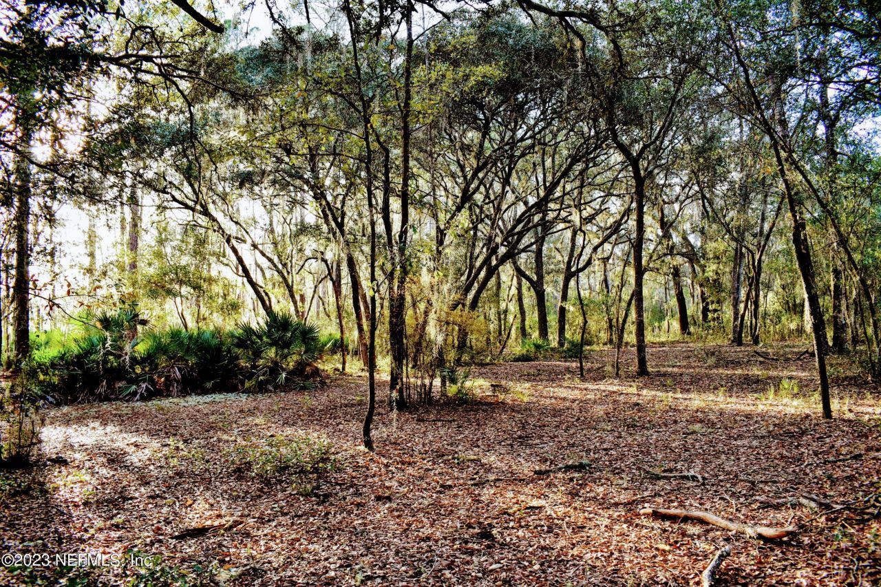 0 Simpson Drive, Interlachen, FL 32148 Photo