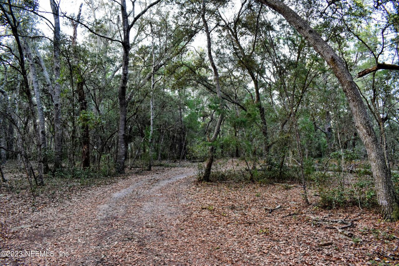 0 Simpson Drive, Interlachen, FL 32148 Photo