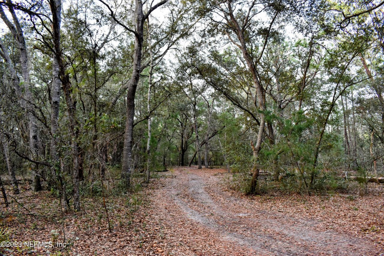 0 Simpson Drive, Interlachen, FL 32148 Photo