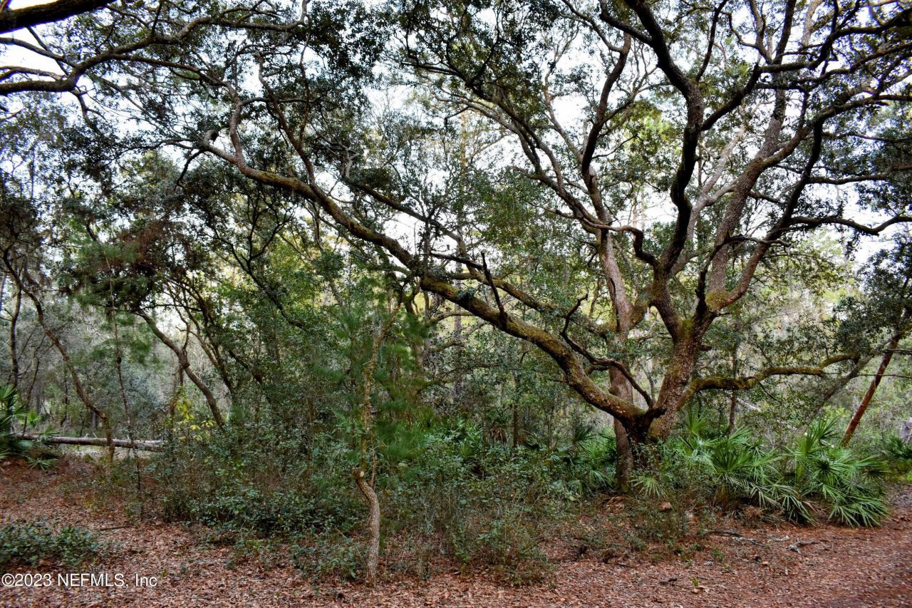 0 Simpson Drive, Interlachen, FL 32148 Photo