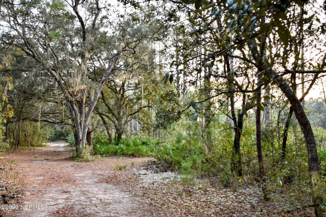 0 Simpson Drive, Interlachen, FL 32148 Photo