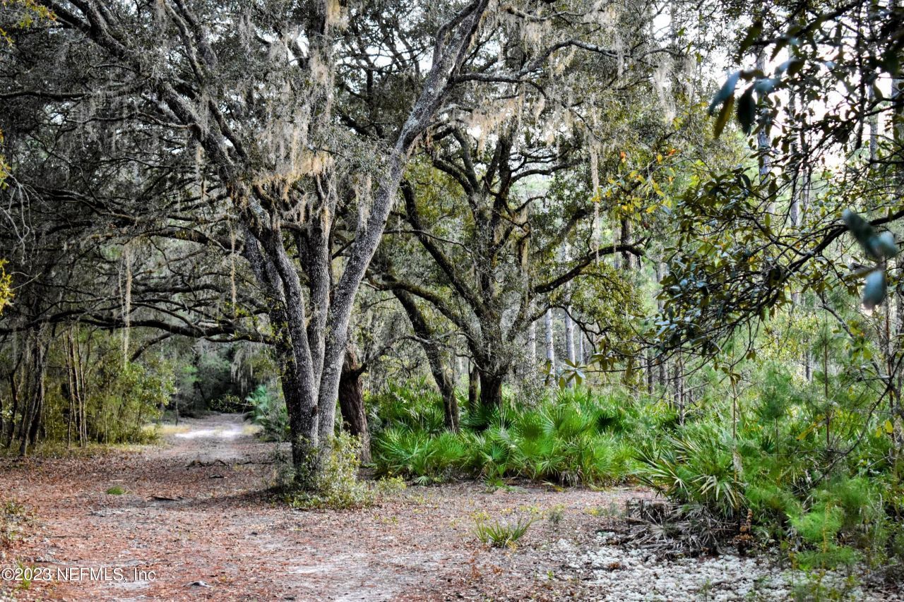 0 Simpson Drive, Interlachen, FL 32148 Photo