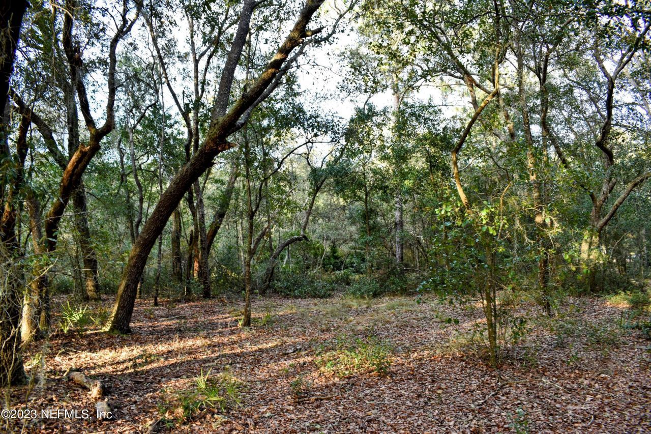 0 Simpson Drive, Interlachen, FL 32148 Photo