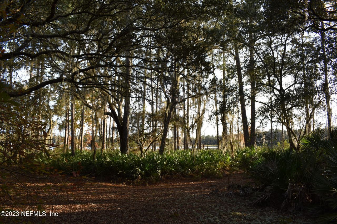 0 Simpson Drive, Interlachen, FL 32148 Photo