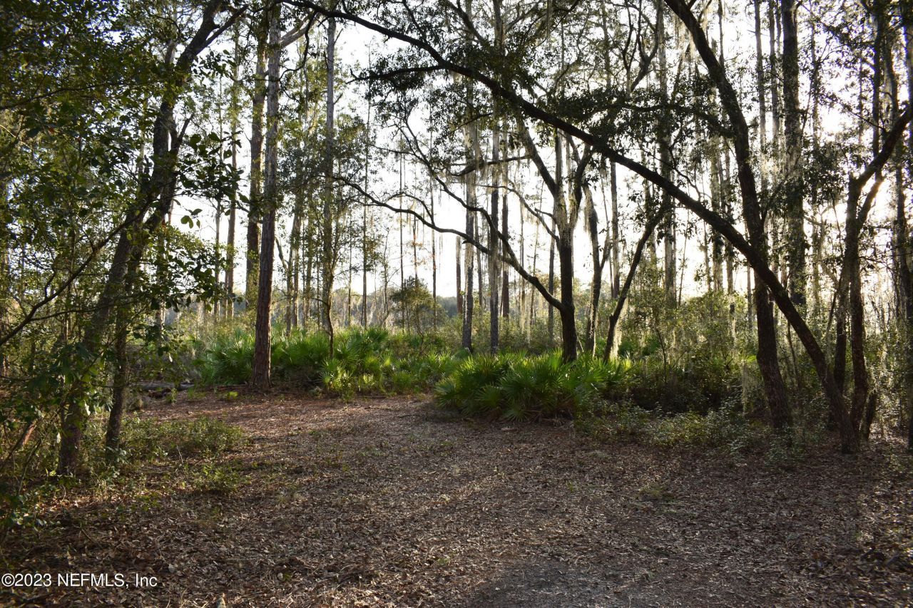 0 Simpson Drive, Interlachen, FL 32148 Photo