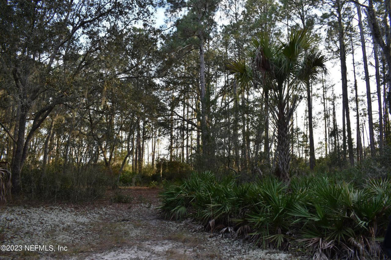 0 Simpson Drive, Interlachen, FL 32148 Photo