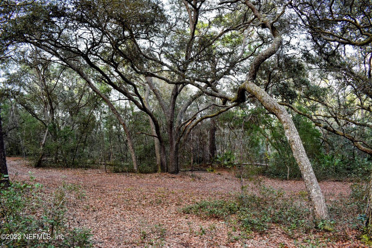 0 Simpson Drive, Interlachen, FL 32148 Photo