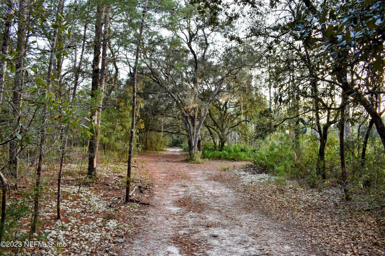0 Simpson Drive, Interlachen, FL 32148 Photo