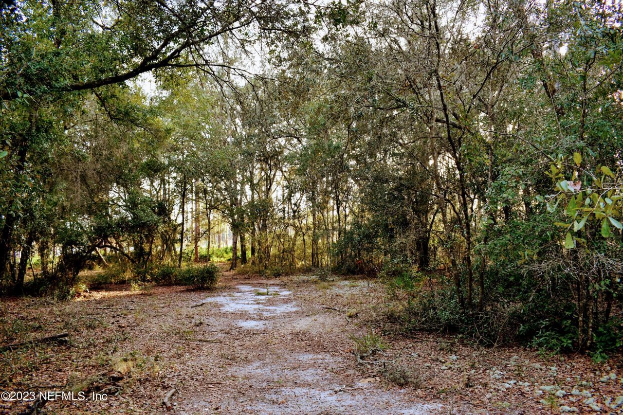 0 Simpson Drive, Interlachen, FL 32148 Photo