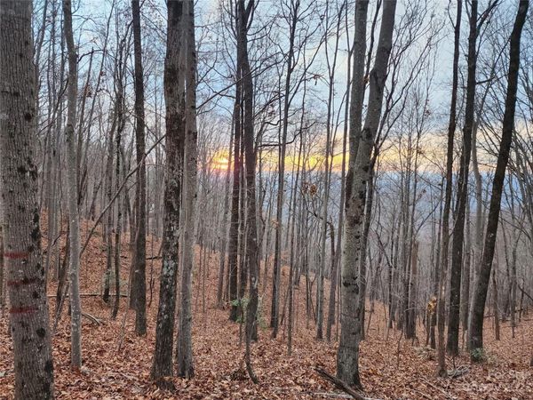 22 Amelia Lane, Bostic, NC 28018