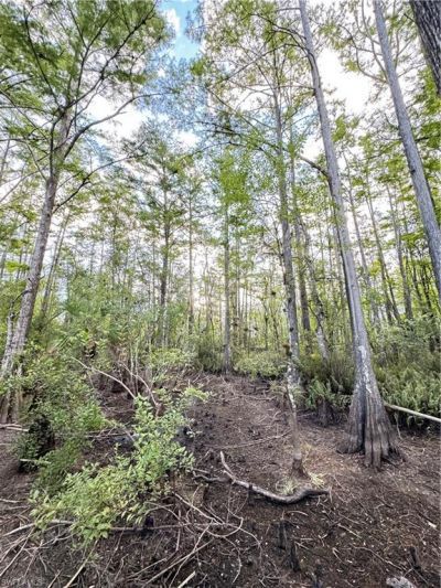 10581 Ben C Pratt/6 Mile Cypress Pkwy, Fort Myers, FL 33966 Photo