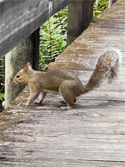 10581 Ben C Pratt/6 Mile Cypress Pkwy, Fort Myers, FL 33966 Photo