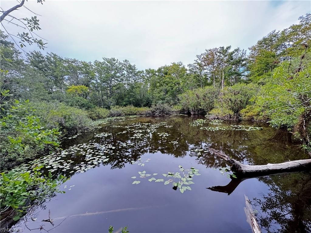 10581 Ben C Pratt/6 Mile Cypress Pkwy, Fort Myers, FL 33966 Photo