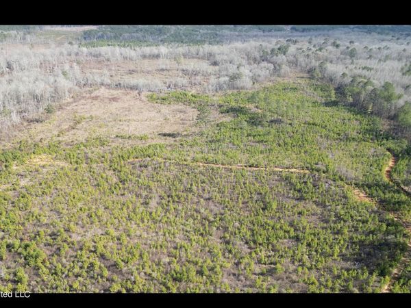 01 Highway 19, Philadelphia, MS 39350