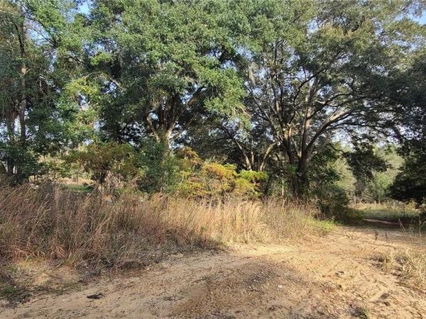 17105 SE 252ND AVENUE, UMATILLA, FL 32784